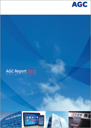 AGC Report 2013