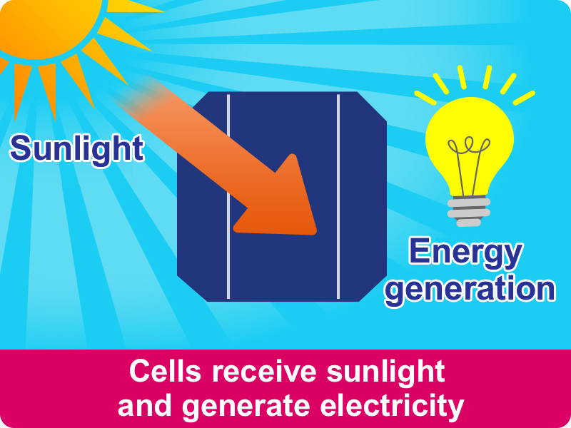 Cells receive sunlight and generate electricity