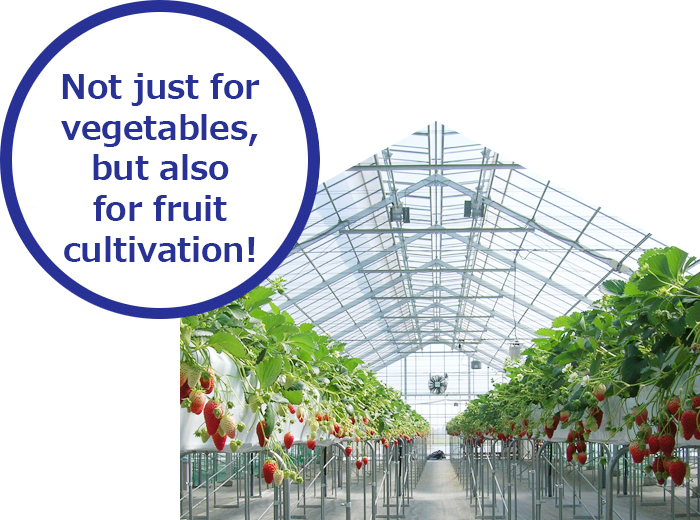 Not just for vegetables, but also for fruit cultivation!