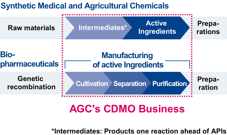 AGC's CDMO Business