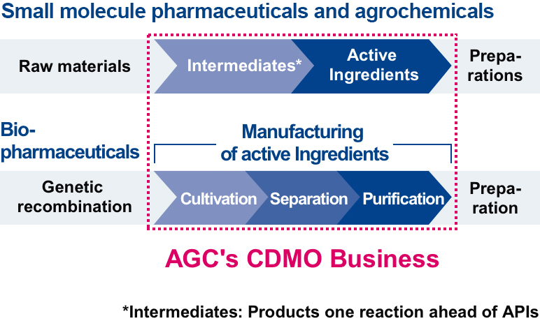 AGC's CDMO Business