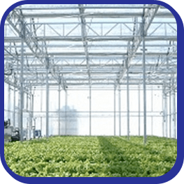 Greenhouses for Agriculture