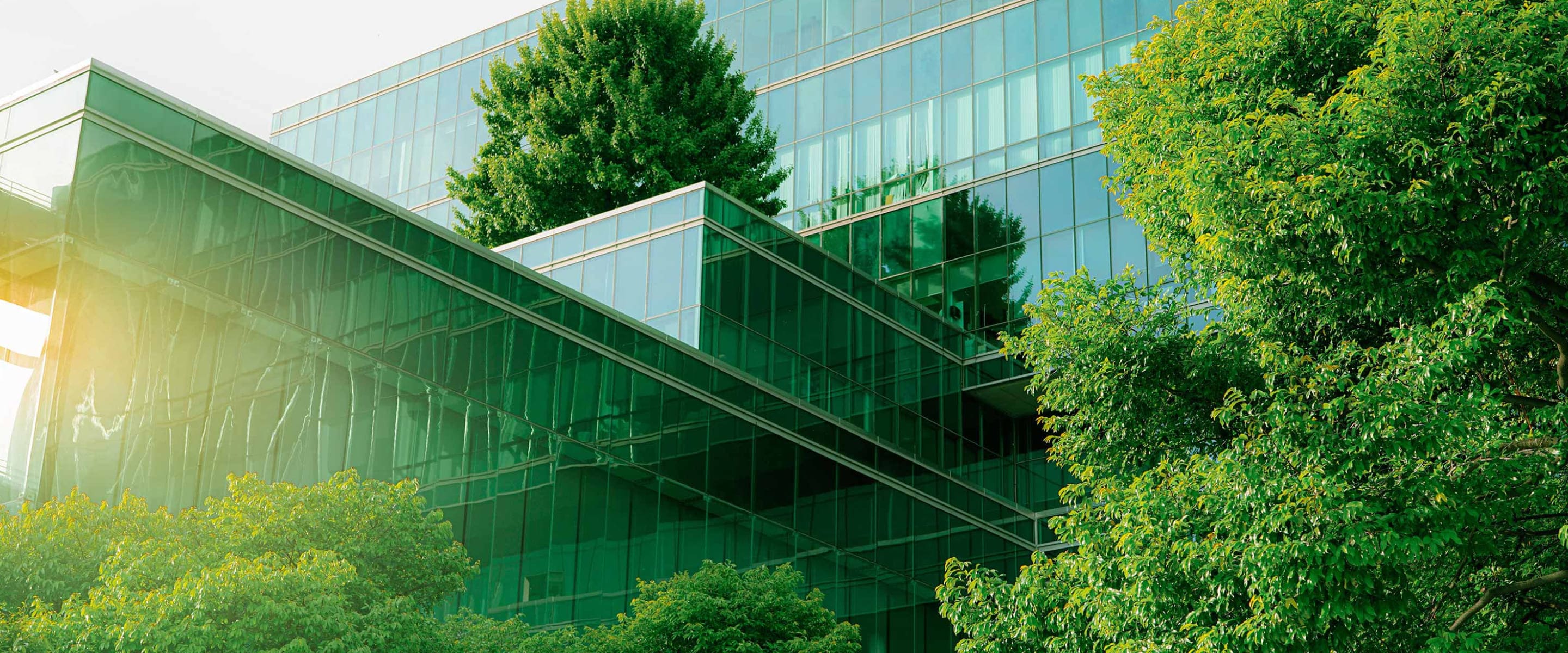 The impact of low-carbon, high-performance glass