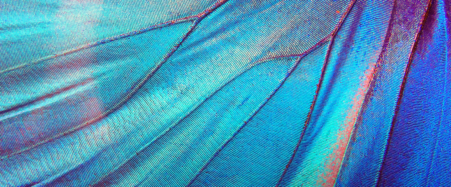 Funding the science for environmental impact