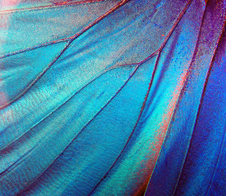 Funding the science for environmental impact