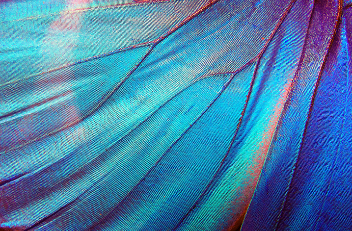 Funding the science for environmental impact