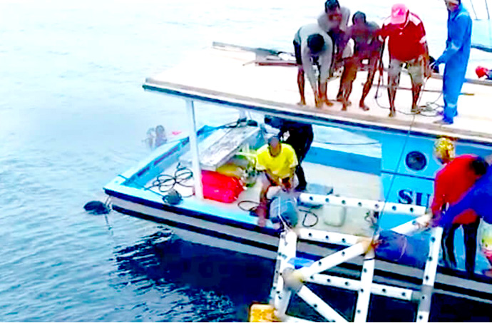 Technology reshapes the relationships between humans and nature in a coral reef protection project