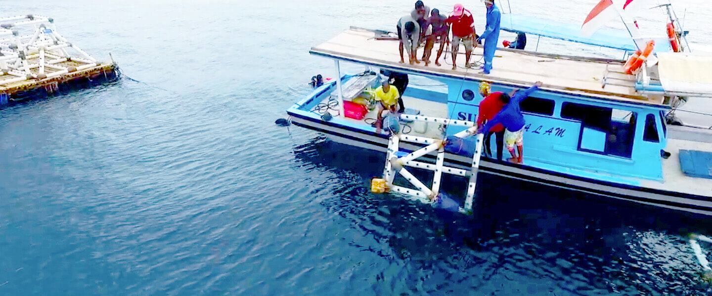 Technology reshapes the relationships between humans and nature in a coral reef protection project