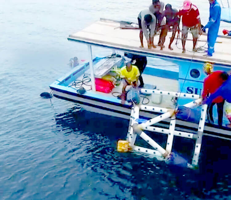 Technology reshapes the relationships between humans and nature in a coral reef protection project