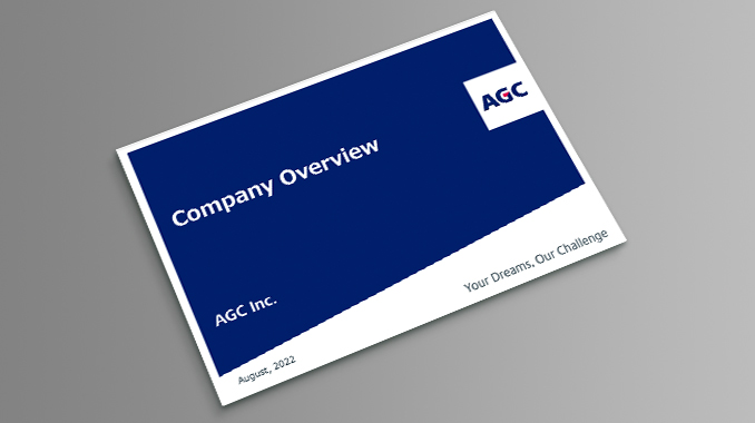 Company Overview