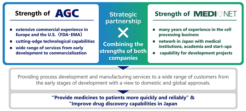 Diagram showing the strengths of the two companies, etc.