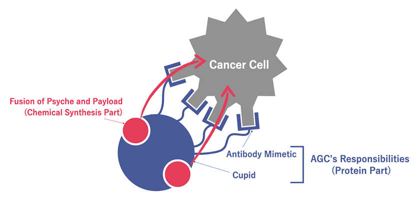 Diagram of AMDC