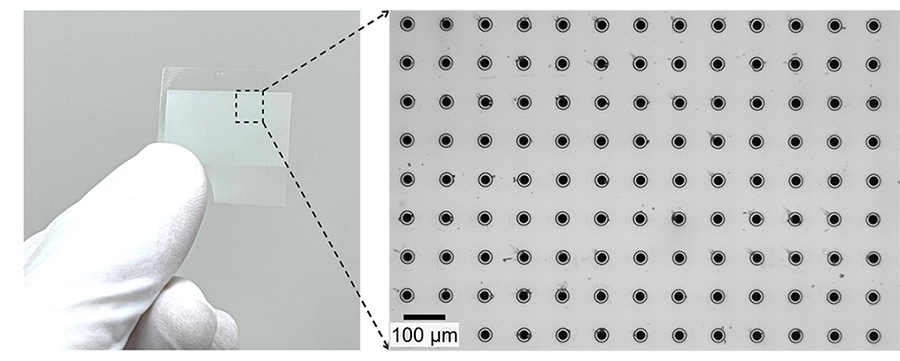 Image of a glass substrate with many through-holes processed at ultra-high speed (100 µm hole spacing)