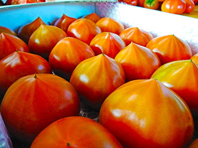 picture of tomatoes produced at the greenhouse
