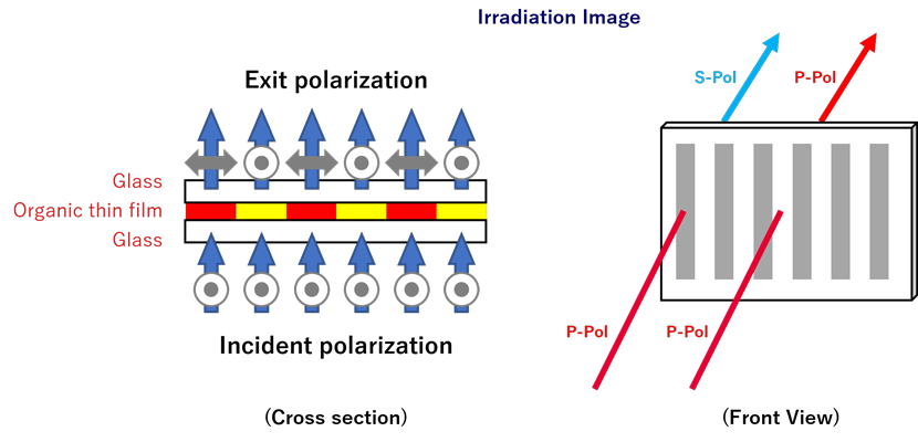 Irradiation Image