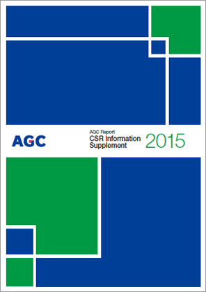 CSR Information Supplement