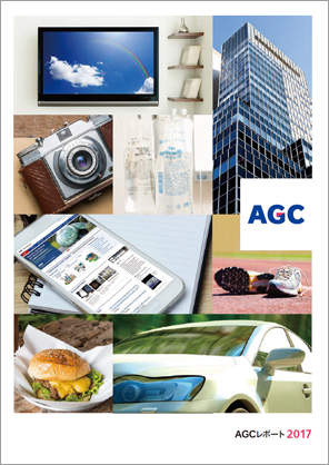 AGC Report 2017
