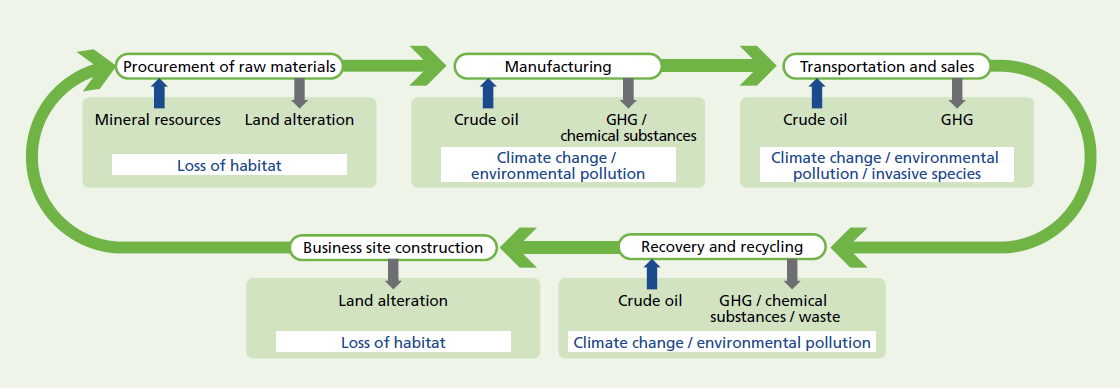 Relationship between the Value Chain and Impacts on Nature