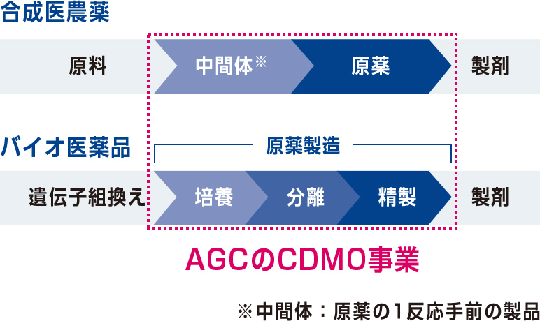 AGCのCDMO事業