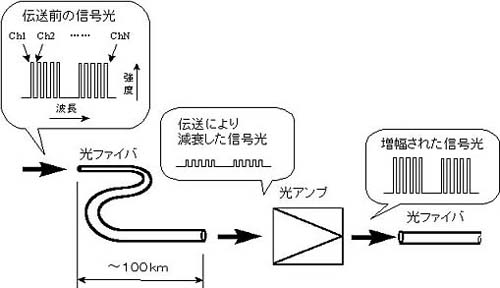 光アンプの役割