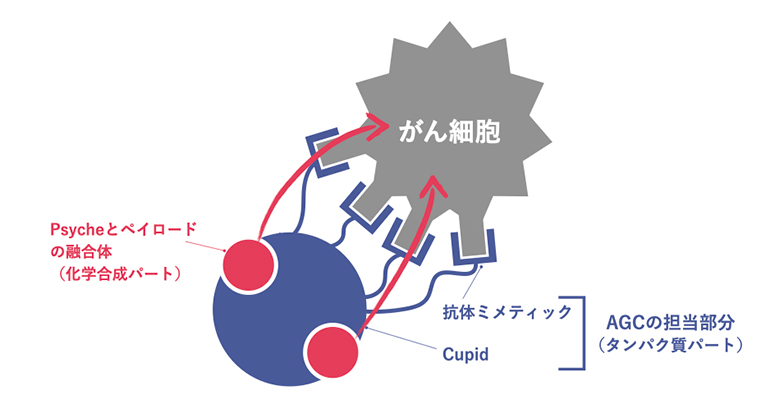 AMDC説明図