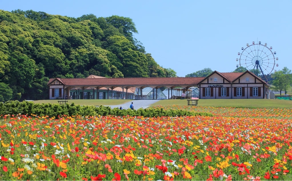 東京ドイツ村