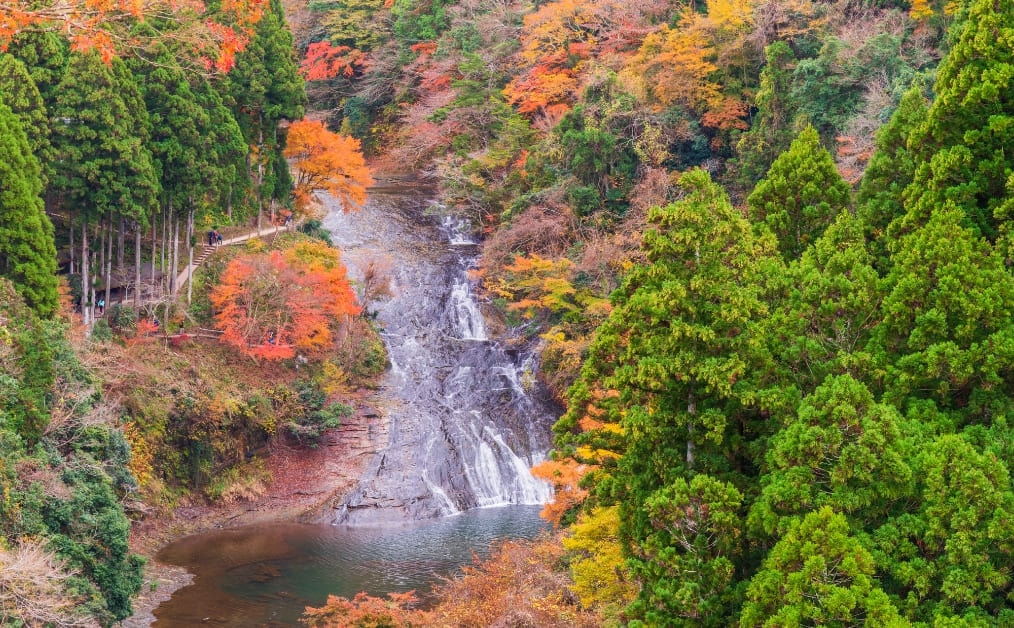 養老渓谷