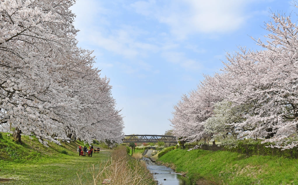 相模三川公園