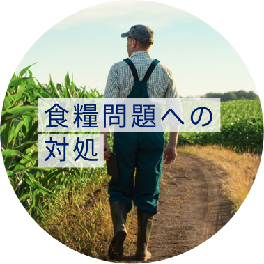 食料問題への対処